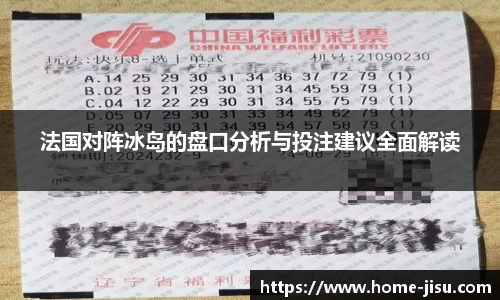 法国对阵冰岛的盘口分析与投注建议全面解读